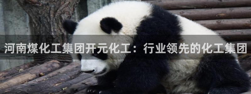 球盟会最新网：河南煤化工集团开元化工：行业领先的化工集团