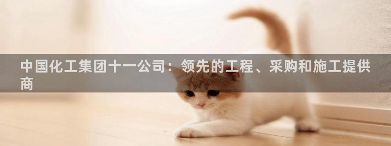 球盟会能退钱吗：中国化工集团十一公司：领先的工程、采购和施工