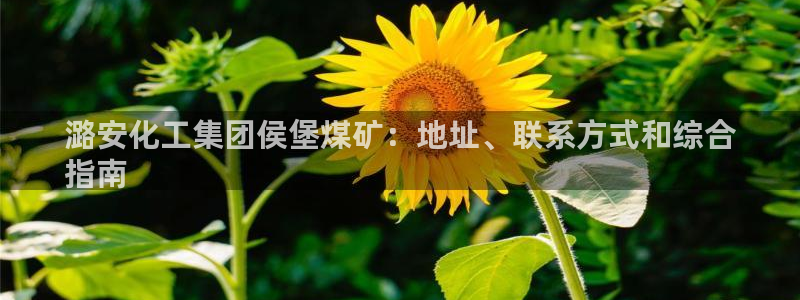 球盟会qmh - 球盟会官方网站：潞安化工集团侯堡煤矿：地址