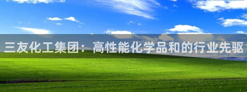 球盟会app：三友化工集团：高性能化学品和的行业先驱