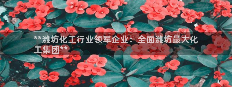 球盟会黑款吗：**潍坊化工行业领军企业：全面潍坊最大化
工集