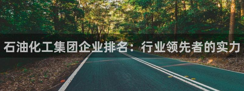 球盟会黑钱：石油化工集团企业排名：行业领先者的实力