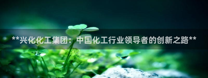球盟会和中欧：**兴化化工集团：中国化工行业领导者的创新之路