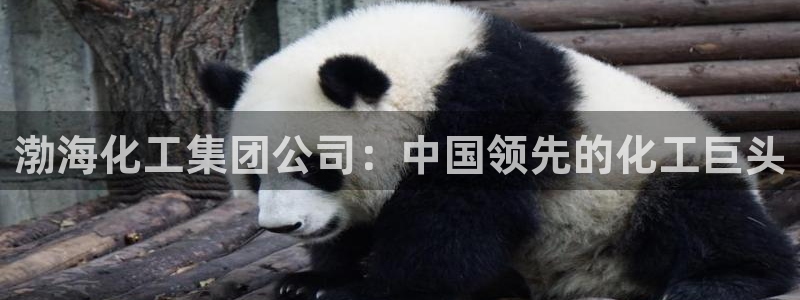 球盟会app安装：渤海化工集团公司：中国领先的化工巨头