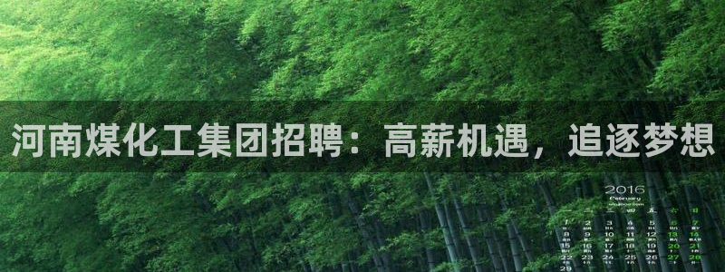 千亿球盟会：河南煤化工集团招聘：高薪机遇，追逐梦想