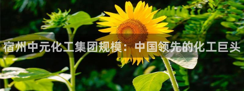 球盟会乐虎：宿州中元化工集团规模：中国领先的化工巨头