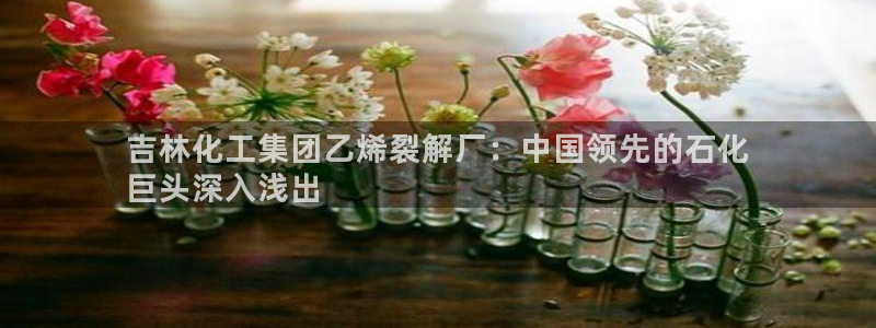 球盟会最新地址备用：吉林化工集团乙烯裂解厂：中国领先的石化
