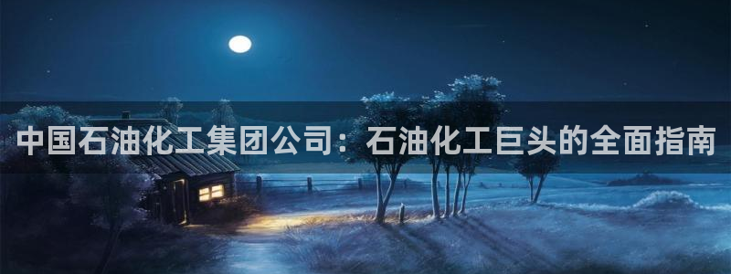 球盟会进不去吗：中国石油化工集团公司：石油化工巨头的全面指南