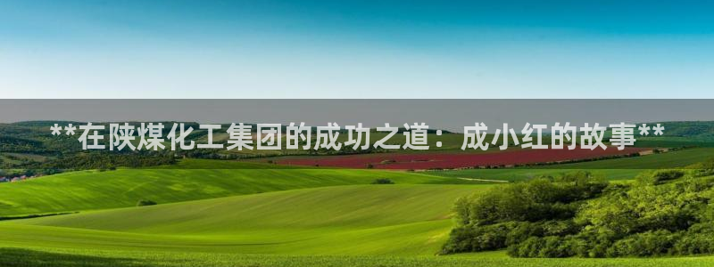 球盟会官方网站：**在陕煤化工集团的成功之道：成小红的故事*