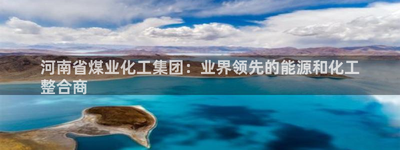 球盟会黑嘛：河南省煤业化工集团：业界领先的能源和化工
整合商