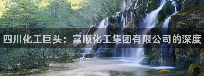 球盟会贴吧：四川化工巨头：富顺化工集团有限公司的深度