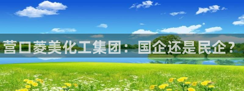 球盟会在线网站：营口菱美化工集团：国企还是民企？