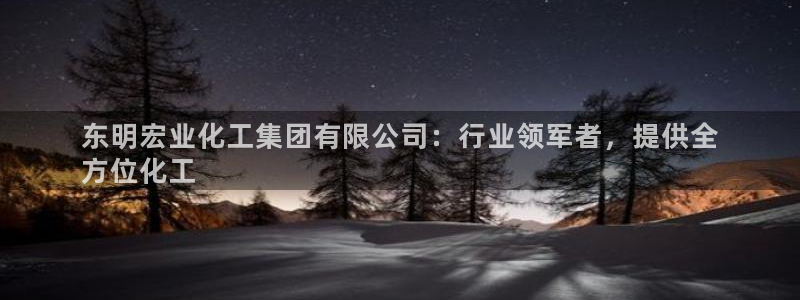 球盟会有没有黑单的：东明宏业化工集团有限公司：行业领军者，提