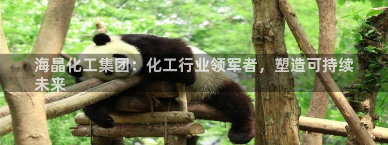 球盟会app手机登录：海晶化工集团：化工行业领军者，塑造可持