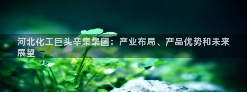 球盟会官方网址入口：河北化工巨头辛集集团：产业布局、产品优势
