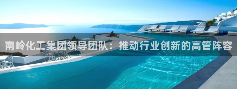 球盟会黑款吗是真的吗：南岭化工集团领导团队：推动行业创新的高
