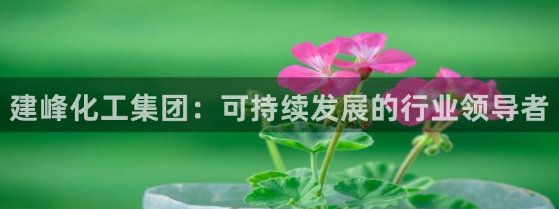 球盟会官方网站app：建峰化工集团：可持续发展的行业领导者