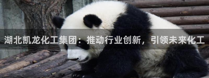 球盟会头号玩家：湖北凯龙化工集团：推动行业创新，引领未来化工