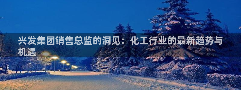 球盟会app最新地址下载：兴发集团销售总监的洞见：化工行业的