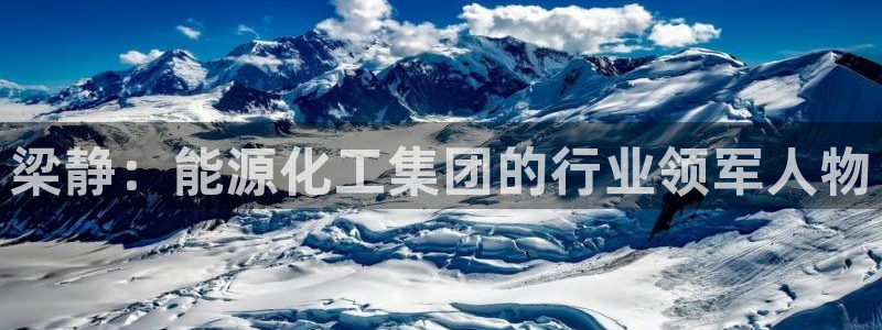 球盟会黑款吗：梁静：能源化工集团的行业领军人物