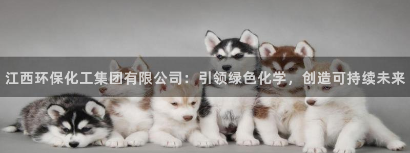 球盟会官网app下载：江西环保化工集团有限公司：引领绿色化学