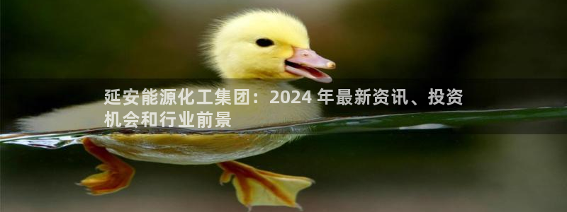 球盟会可以提现么：延安能源化工集团：2024 年最新资讯、投