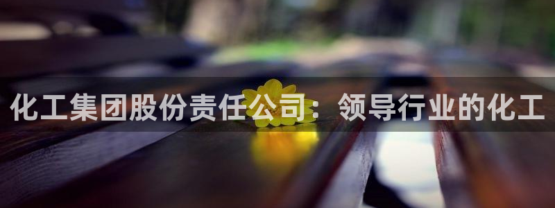 球盟会平台怎么样：化工集团股份责任公司：领导行业的化工