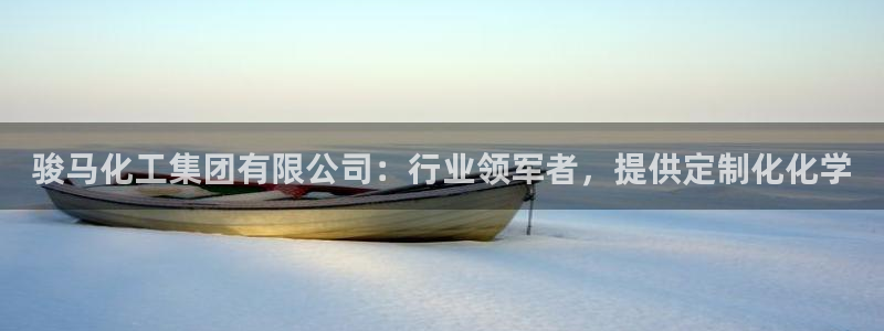 球盟会qmh：骏马化工集团有限公司：行业领军者，提供定制化化