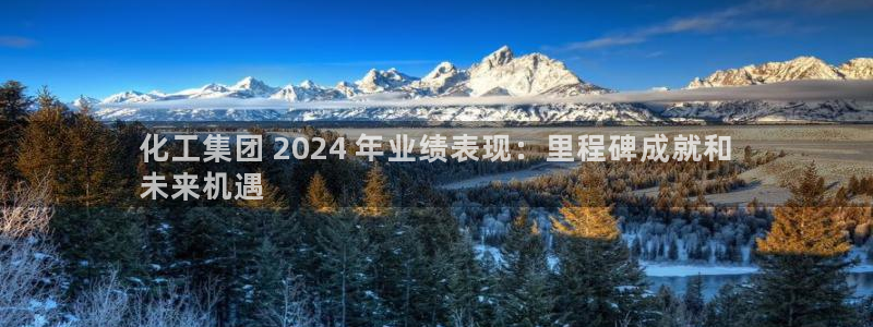 球盟会优惠领取网站是真的吗：化工集团 2024 年业绩表现：