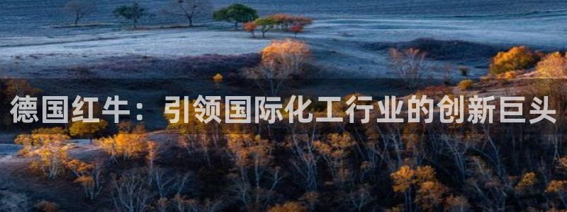 球盟会中国网页登录：德国红牛：引领国际化工行业的创新巨头