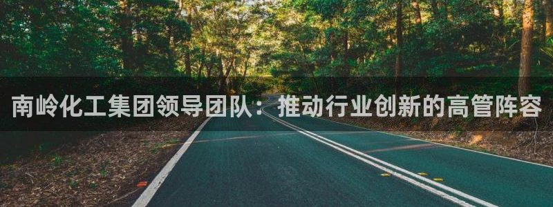 球盟会登录网址：南岭化工集团领导团队：推动行业创新的高管阵容