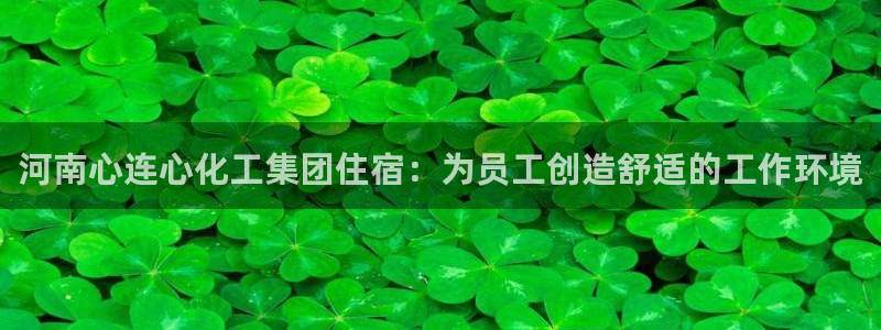球盟会黑嘛：河南心连心化工集团住宿：为员工创造舒适的工作环境