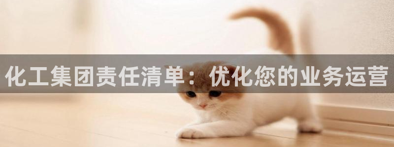 球盟会地址：化工集团责任清单：优化您的业务运营