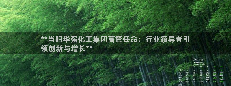 球盟会最新活动：**当阳华强化工集团高管任命：行业领导者引
