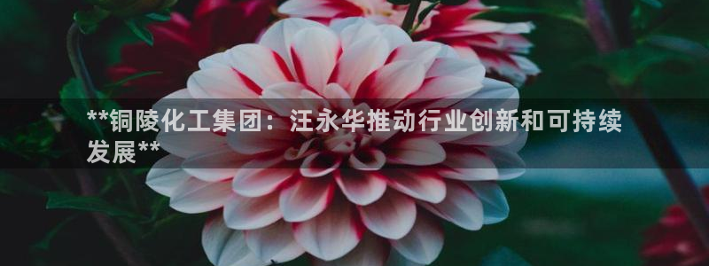 球盟会里面有打牌的嘛知乎：**铜陵化工集团：汪永华推动行业创