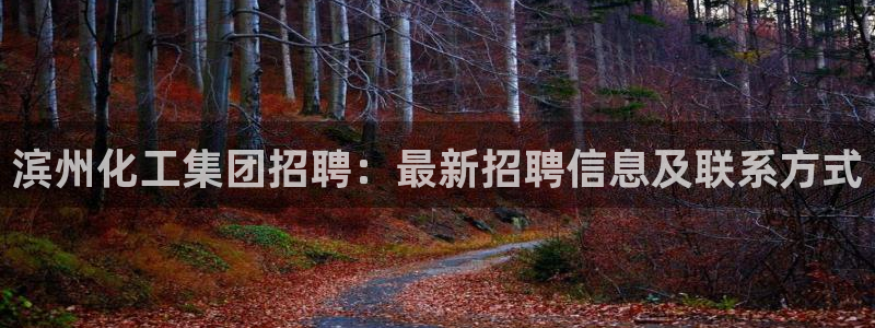 球盟会优惠领取网站是真的吗：滨州化工集团招聘：最新招聘信息及