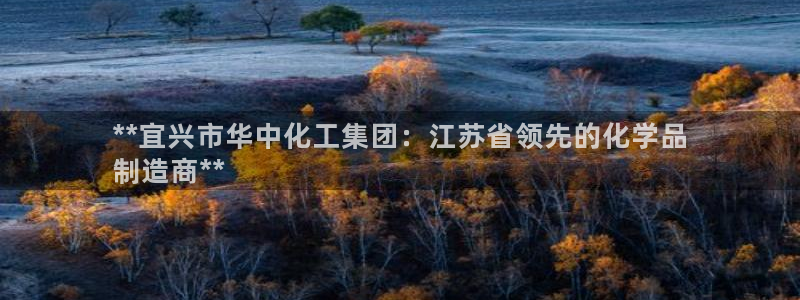 球盟会官方网站是什么：**宜兴市华中化工集团：江苏省领先的化