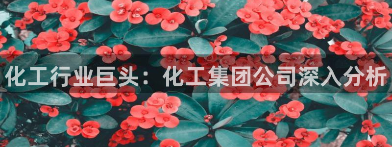 球盟会app：化工行业巨头：化工集团公司深入分析