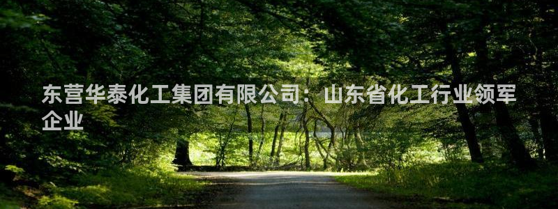 球盟会用的客服聊天是哪个软件：东营华泰化工集团有限公司：山东