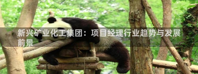 球盟会官方app首页入口：新兴矿业化工集团：项目经理行业趋势