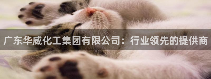 球盟会乐虎：广东华威化工集团有限公司：行业领先的提供商