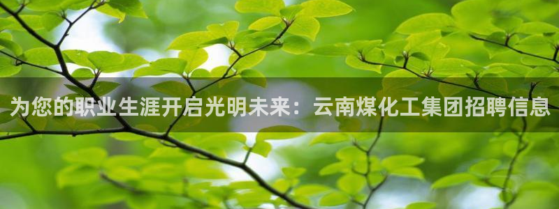 球盟会最新活动：为您的职业生涯开启光明未来：云南煤化工集团招