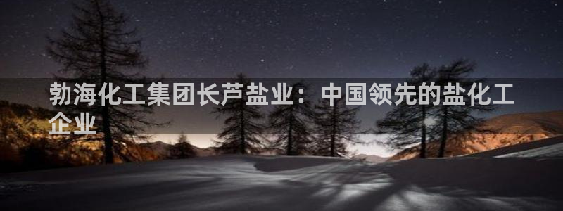 球盟会黑台子：勃海化工集团长芦盐业：中国领先的盐化工
企业