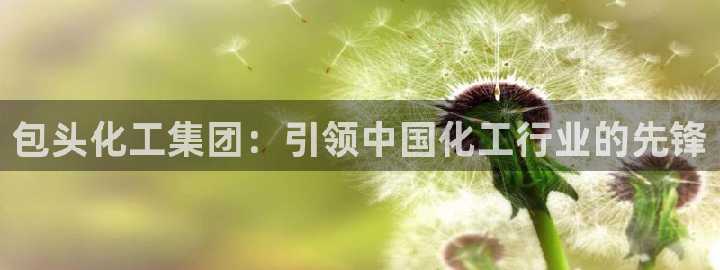球盟会入口：包头化工集团：引领中国化工行业的先锋