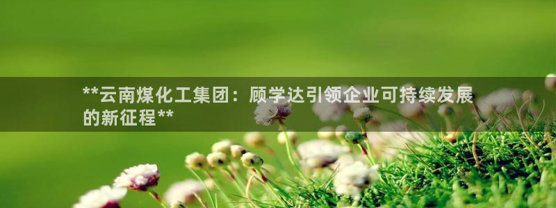 球盟会官方：**云南煤化工集团：顾学达引领企业可持续发展
的