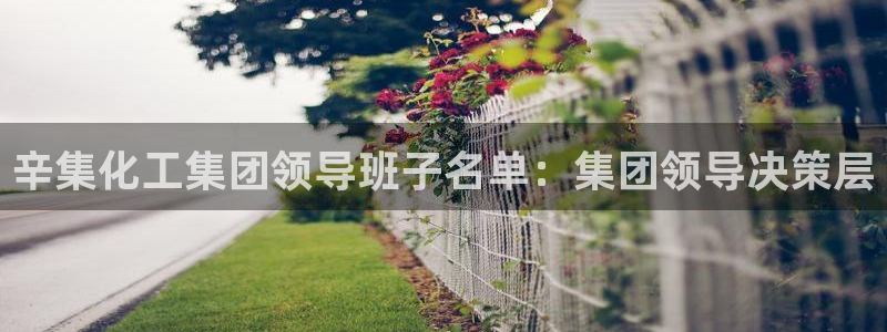 球盟会黑台子：辛集化工集团领导班子名单：集团领导决策层