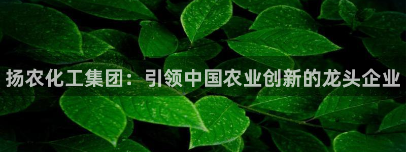 球盟会官网网页版：扬农化工集团：引领中国农业创新的龙头企业