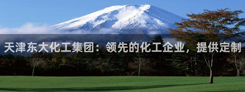 球盟会优惠码：天津东大化工集团：领先的化工企业，提供定制