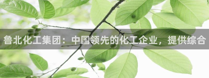 球盟会网址多少：鲁北化工集团：中国领先的化工企业，提供综合