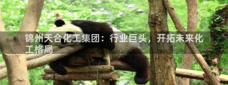 球盟会和中欧合作吗：锦州天合化工集团：行业巨头，开拓未来化
